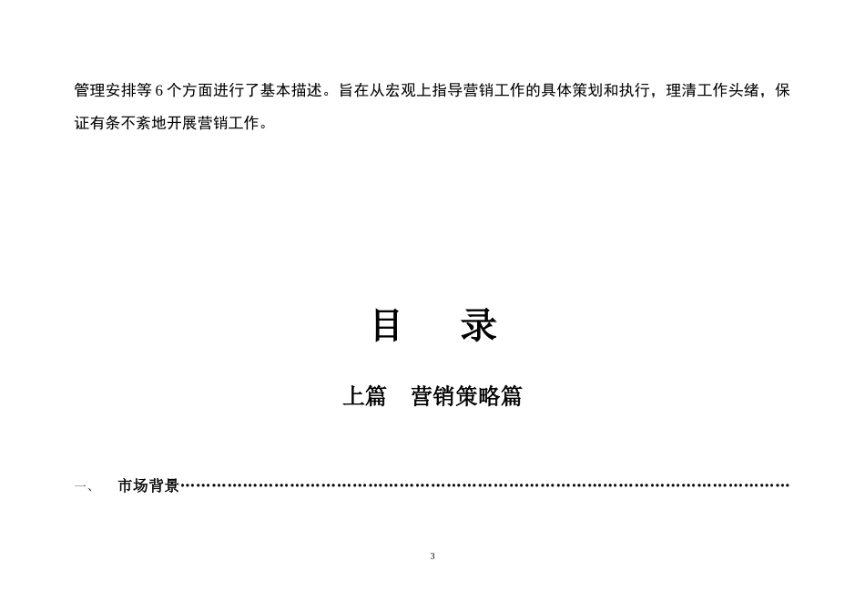 长沙坡子街商业项目整体营销方案_第3页