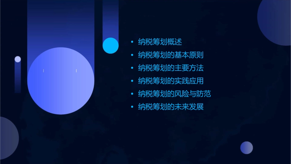 纳税筹划的基本原理课件_第2页