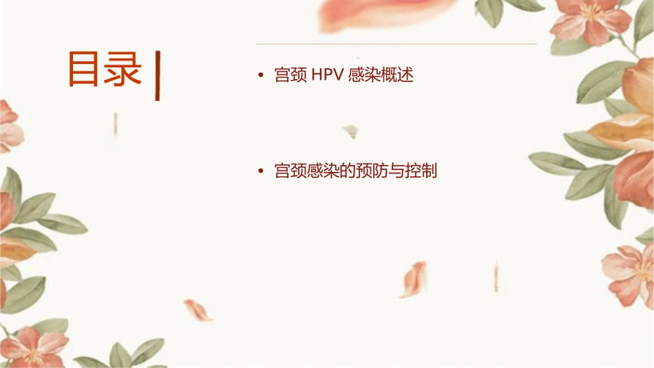 宫颈HPV感染及其它宫颈感染课件_第2页