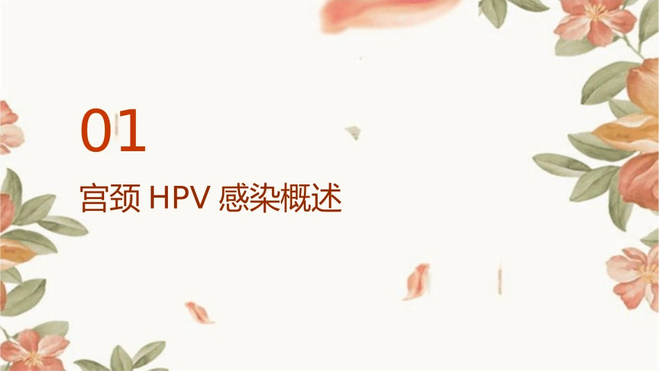 宫颈HPV感染及其它宫颈感染课件_第3页