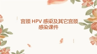 宫颈HPV感染及其它宫颈感染课件