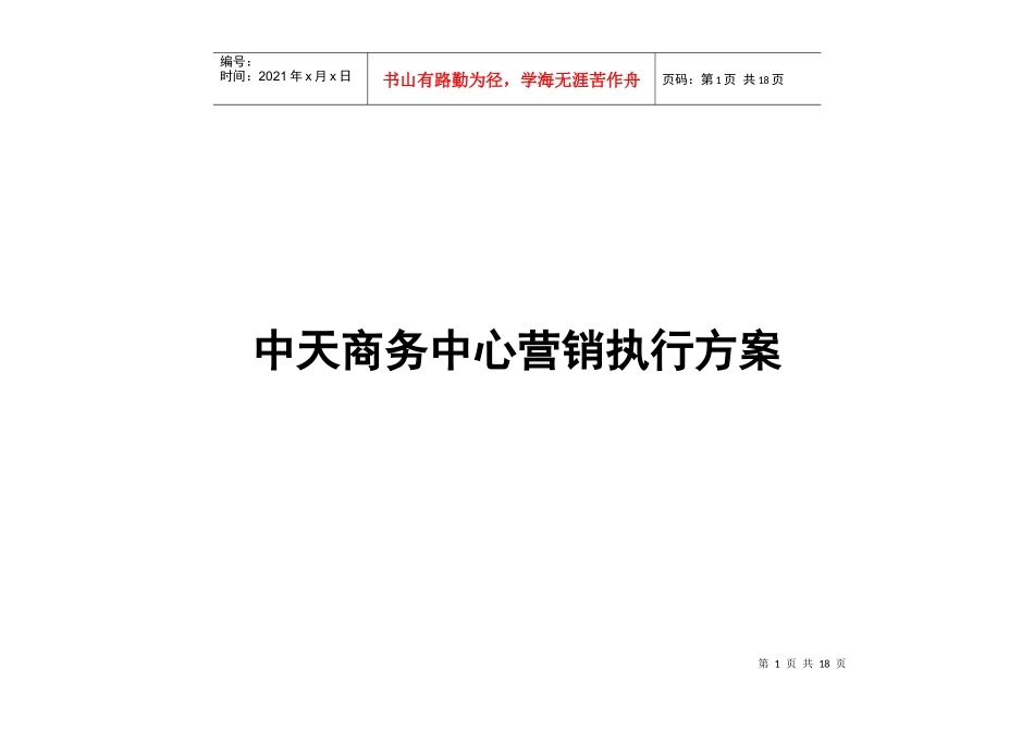 某某商务中心营销执行方案_第1页
