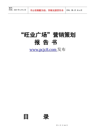 深圳旺业广场营销策划报告书