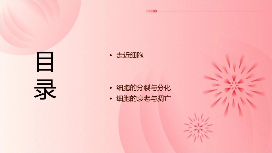 金教程 人教高考生物一轮复习精讲通用课件考纲核心考点  走近细胞_第2页
