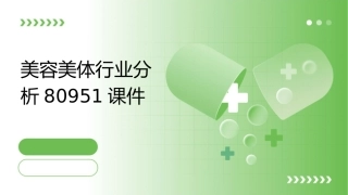 美容美体行业分析80951课件