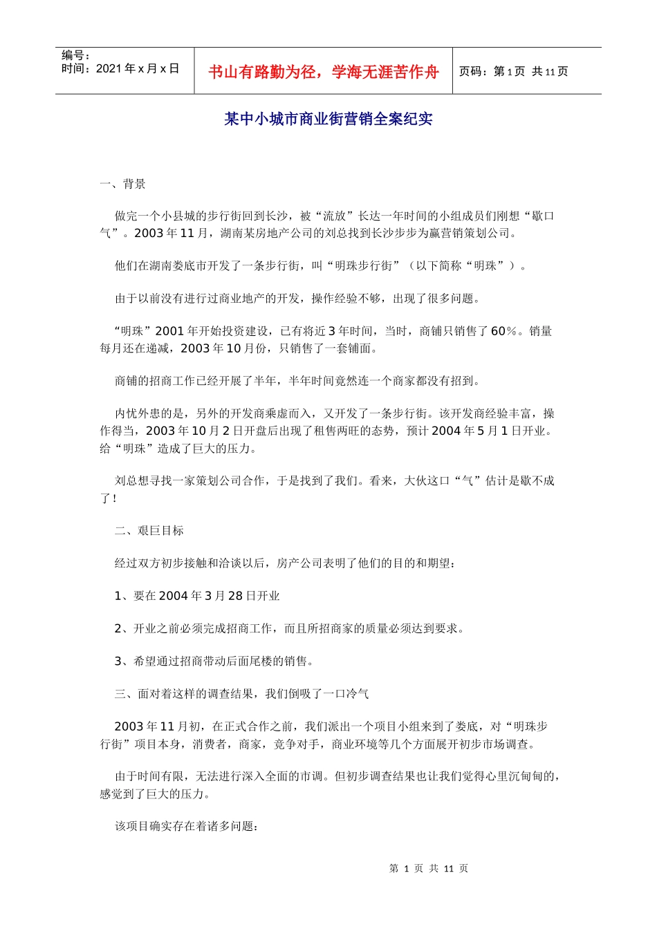 某中小城市商业街营销全案纪实_第1页