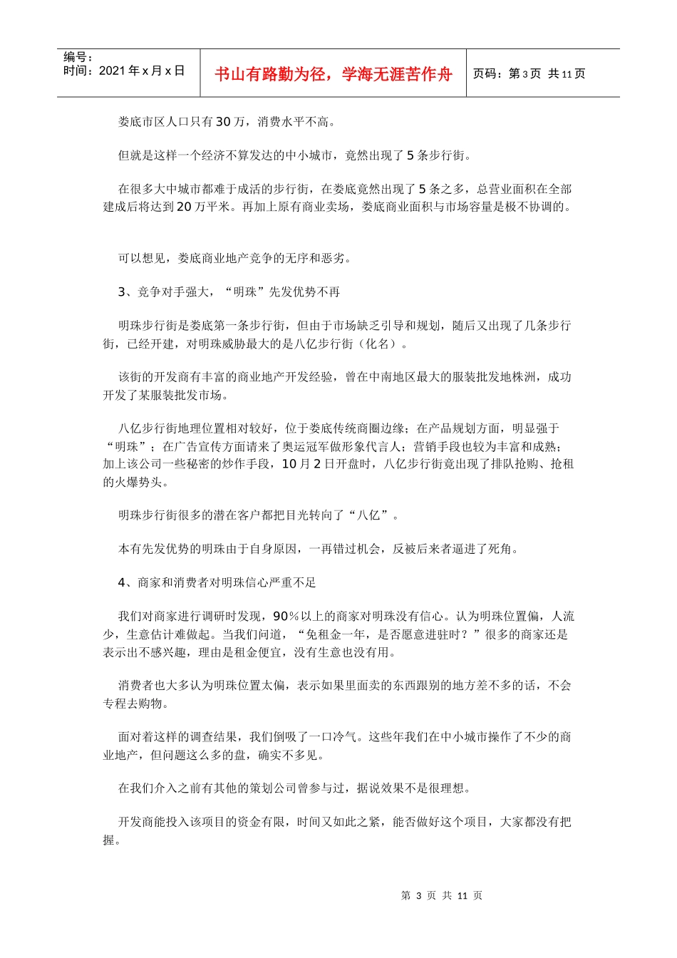 某中小城市商业街营销全案纪实_第3页