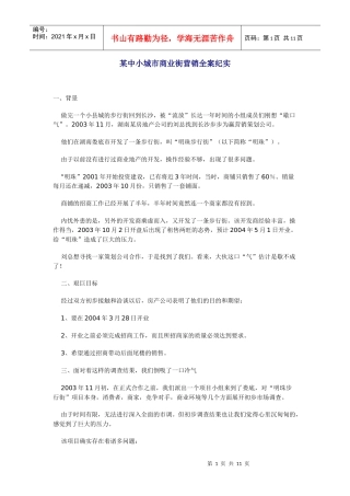 某中小城市商业街营销全案纪实