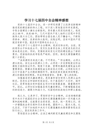 学习十七届四中全会精神感想