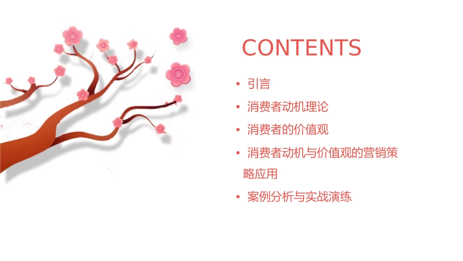 消费者行为学动机与价值观课件_第2页