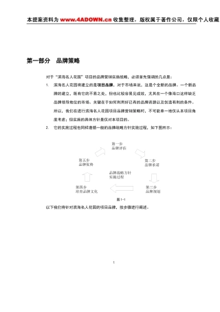 阳光经典品牌营销报告
