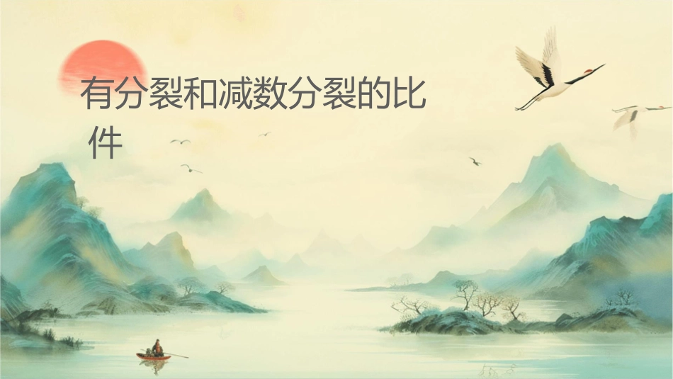 有丝分裂和减数分裂的比较课件_第1页