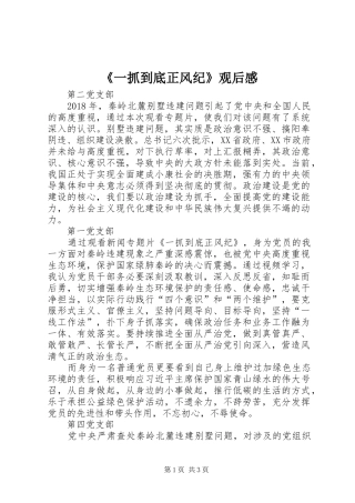 《一抓到底正风纪》观后感