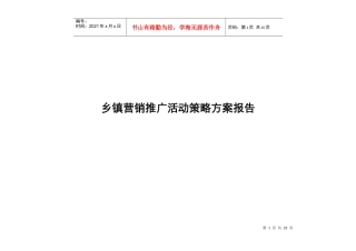 苏北阜宁县城营销推广活动策略方案报告1
