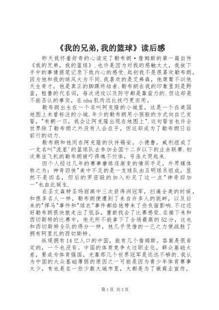 《我的兄弟,我的篮球》读后感