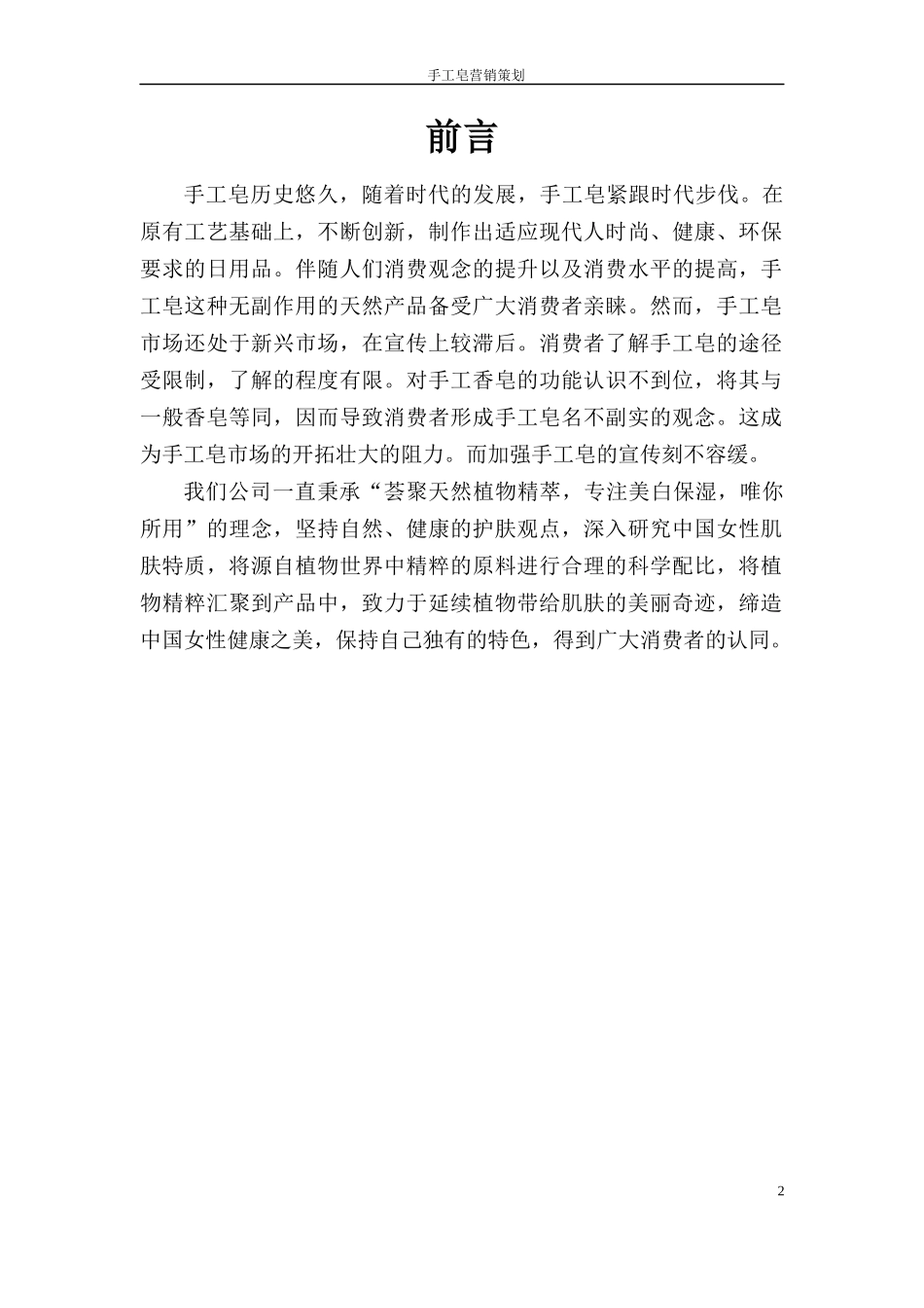 手工皂营销策划方案_第2页