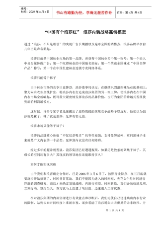 某某名牌内装战略营销模式