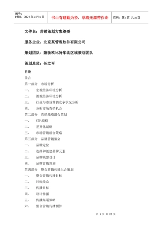 某软件公司营销策划方案