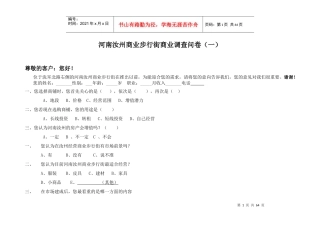 河南汝州商业步行街市场调查
