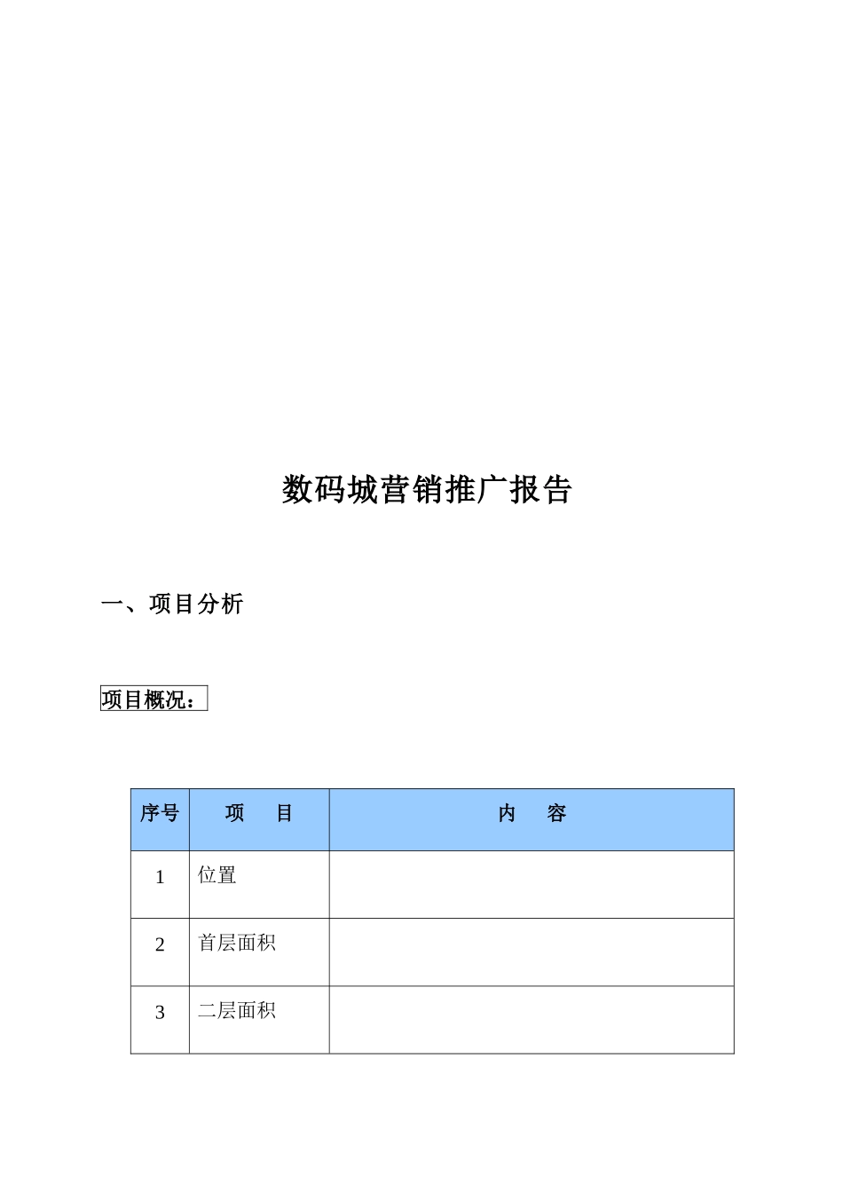 某数码城项目营销推广报告_第1页