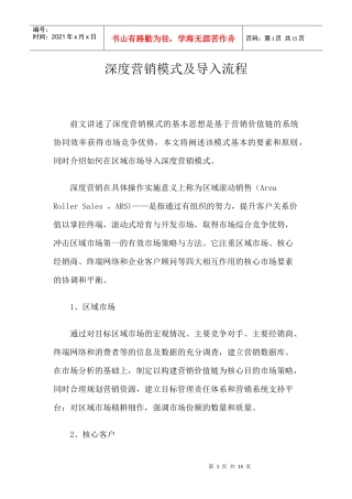 深度营销模式及导入流程分析报告