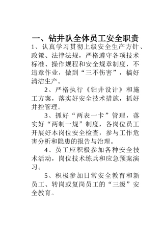 钻井队安全职责(46页)