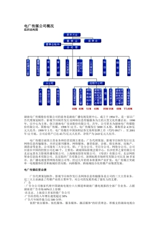 电广传媒公司概况