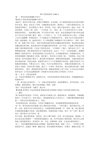 照片里ۥ的故事作文800字精选 