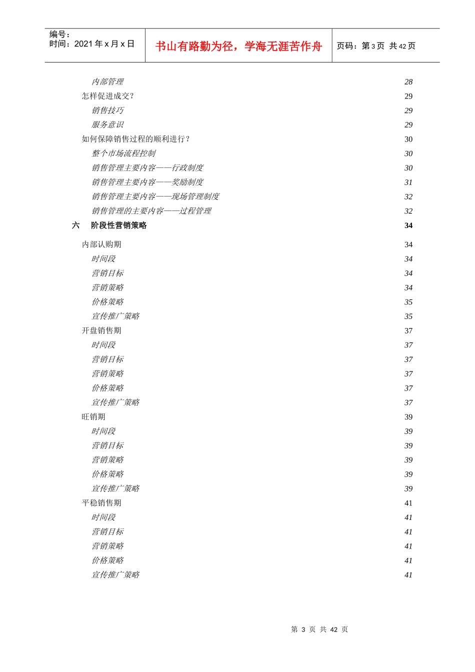 新世界营销策略计划书_第3页
