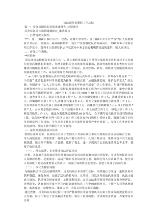 执法副局长履职工作总结 