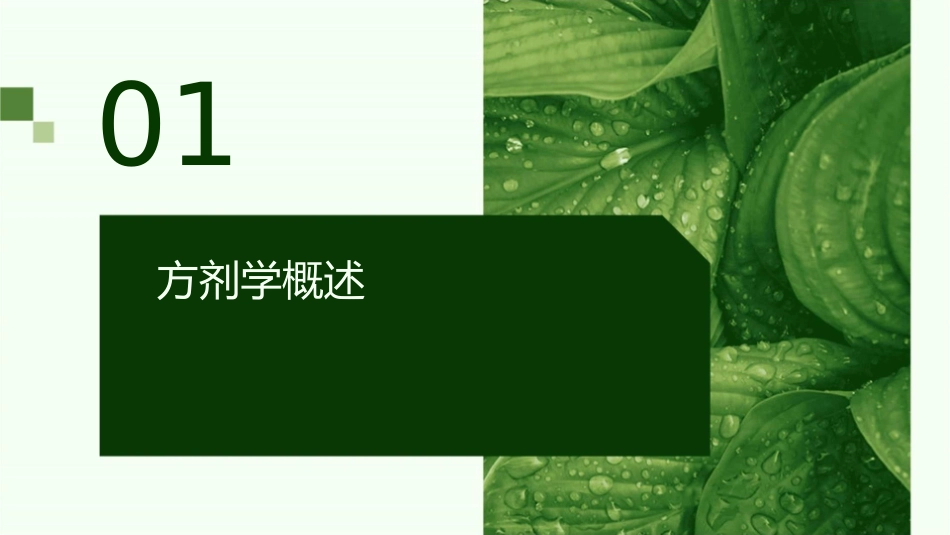 方剂学 温里剂四逆汤护理课件_第3页