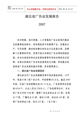 湖北省广告业发展报告