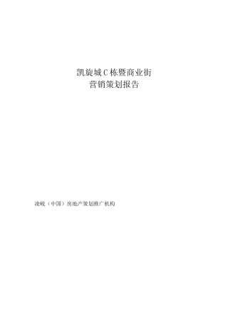 房地产策划推广之商业街营销策划报告