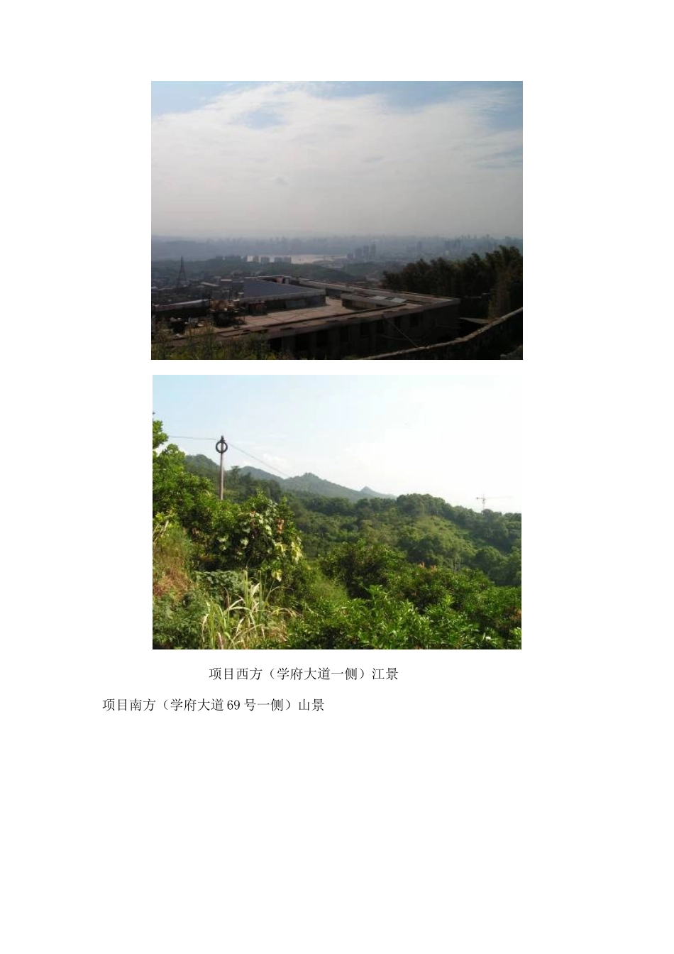 重庆碾盘沟项目市场调研报告_第3页