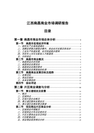江西南昌商业市场调查研究总结