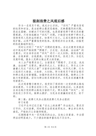 狠刹浪费之风观后感