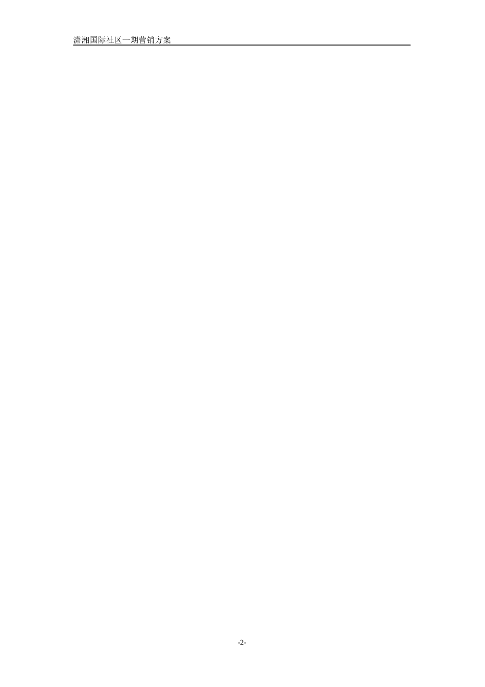潇湘国际营销方案_第3页
