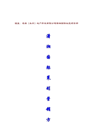 潇湘国际营销方案