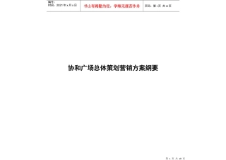 某广场总体营销策划方案