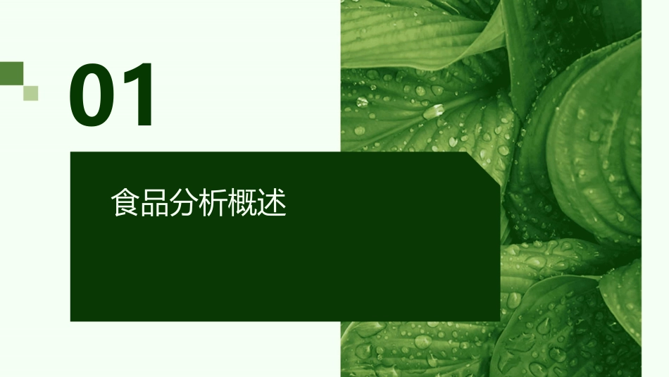 食品分析剖析课件_第3页