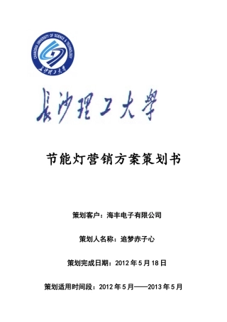 节能灯营销方案策划书