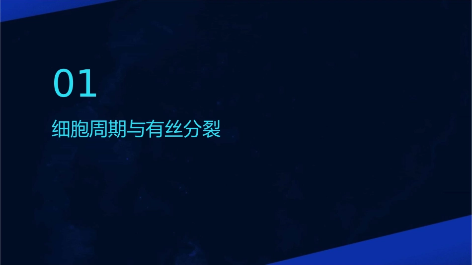 有丝分裂一轮复习课件_第3页