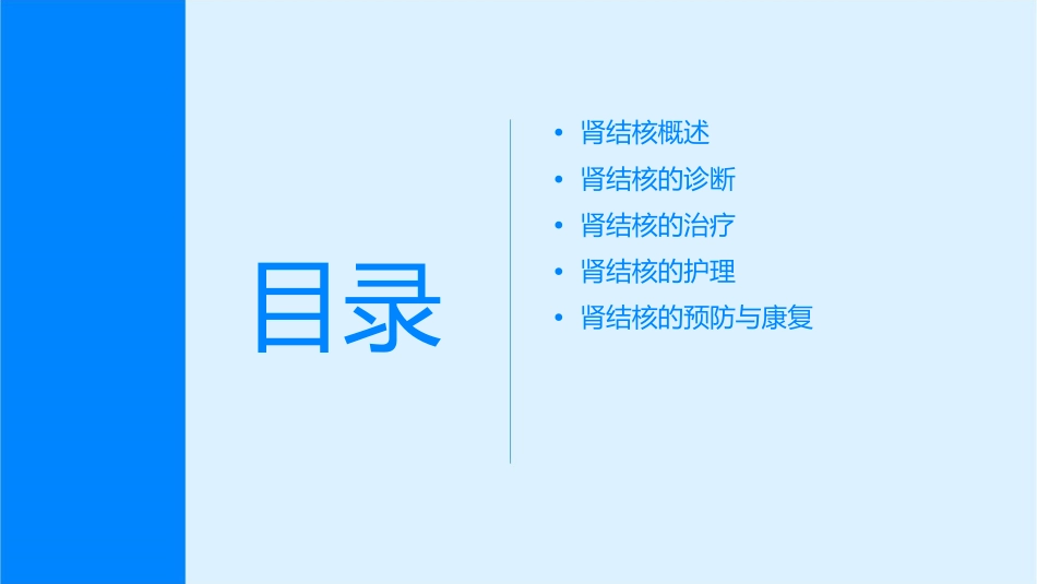 肾结核诊断与治疗护理课件_第2页