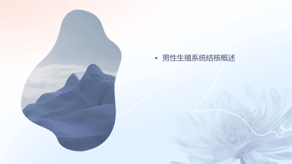 男性生殖系统结核课件_第2页