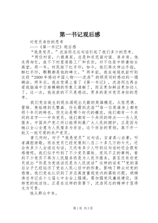 第一书记观后感