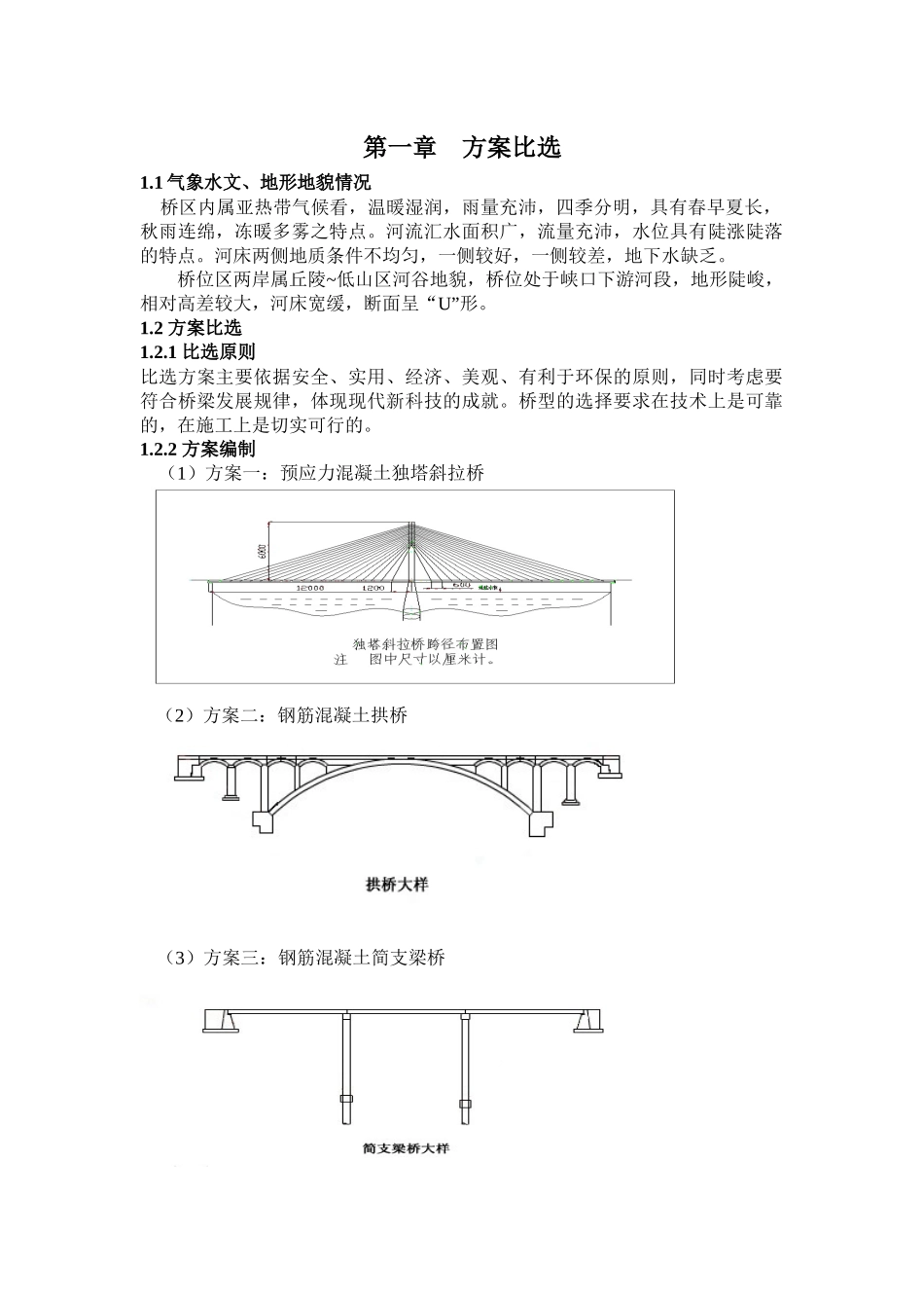 斜拉桥建筑设计及施工方案设计_第3页