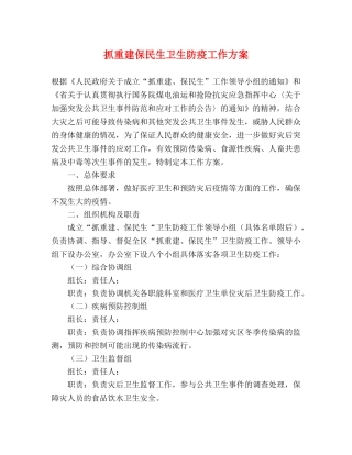 抓重建保民生卫生防疫工作方案 