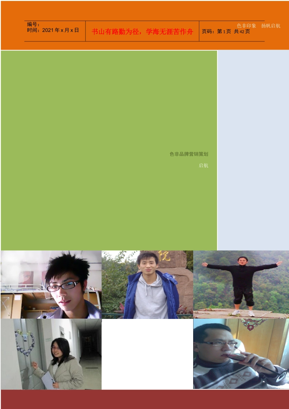 色非品牌营销推广方案_第1页