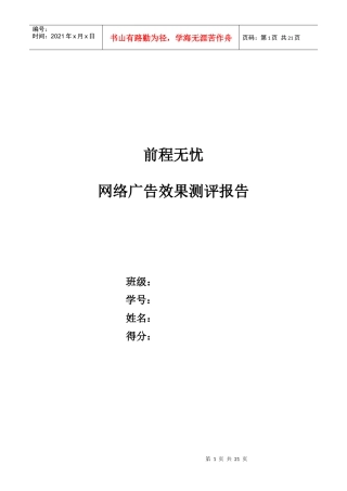 网络广告效果测评报告概要