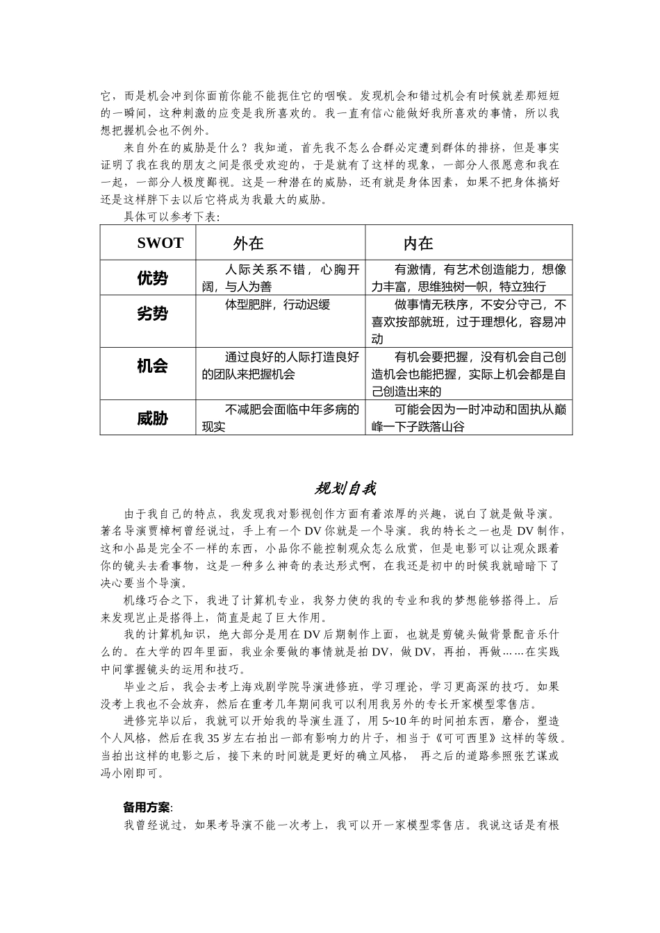 职业生涯设计方案_第2页